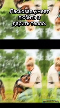 Любовь жива