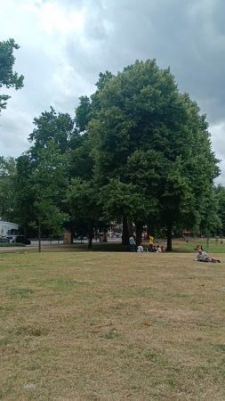 Парк Шепердс Буш Грин, Лондон, Англия (Shepherd's Bush Green, London, UK)