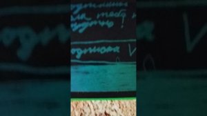 Что делать с риском хомячком?