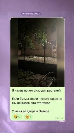 😁 Петербурженка решила похвастаться своим двором и показала цветочное СИЗО