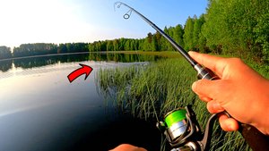 РЫБАК ПОШЁЛ НА ЛЕСНОЕ ОЗЕРО ЗА ЩУКОЙ ТАКОГО НЕ ОЖИДАЛ! РЫБАЛКА НА СПИННИНГ 2025