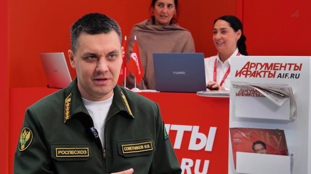 Почему каждый год горят леса? Глава Рослесхоза объясняет на примере Забайкалья и Лос-Анджелеса
