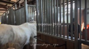 трейлер: «переезд 29.04»