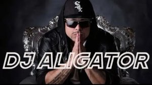 DJ Alligator - Remix 2022