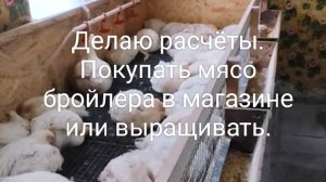 Выращивать или покупать мясо в магазине. Подробный расчёт и личный опыт.