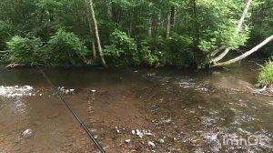 Рыбалка на горной речке в Хабаровском крае.