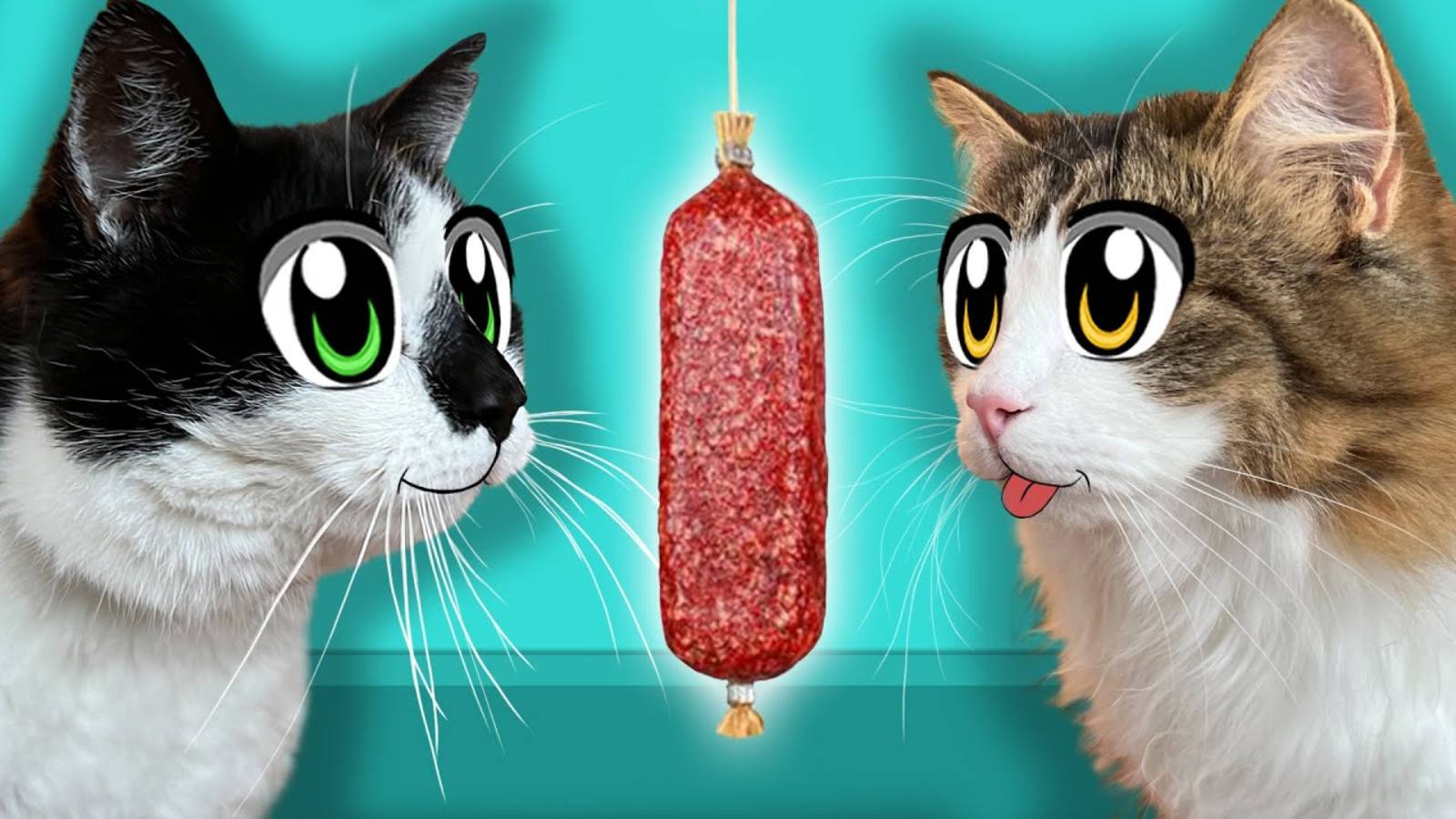 КТО ПОСЛЕДНИЙ ЧЕЛЛЕНДЖ! КОТ МАЛЫШ vs ЯНИ и ЮГИ! КОТЫ А ну-ка Давай-ка В РОЛИ СЫЩИКОВ КОЛБАСКИ!