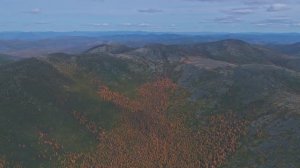 Четыре времени года в Хабаровском крае