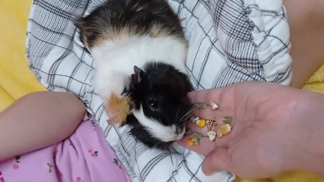 VID_20250622_210013