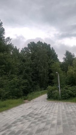 Парк летом. Москва
