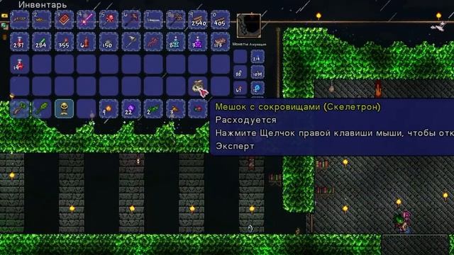 Я Прошёл Terraria В МИРЕ ИЗ ХЛОРОФИТА ! (Полное прохождение террарии)