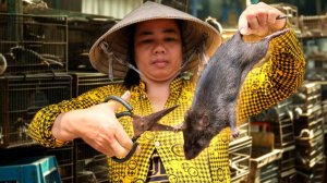 Surviving on RATS This Mekong Village Makes Millions from Rats.