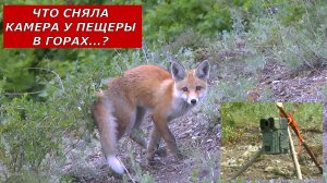 Что сняла камера у пещеры в горах?