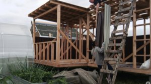 (2025) Нематода 🤬. Мега Сарай. А что же у соседей там 😂!?