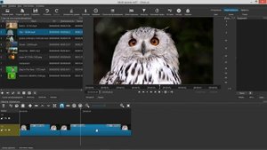 32. Shotcut. Фильтры (Рассинхронизация, Растрескивание), Стоп-кадр