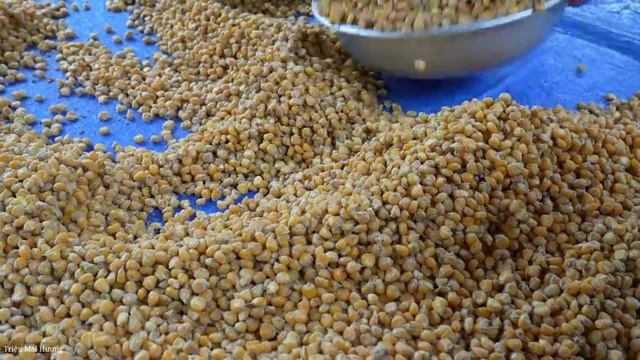 How to Ferment Corn and Preserve It for 360 Days - Harvest Peanuts to Sell.