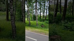 Прогулки по новому парку Меленки на набережной реки Клязьма в Павловском Посаде