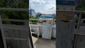 petal_20250619_205512.mp4