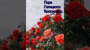 красоты парка Галицкого 👍