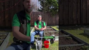 Безопасное использование золы на участке  #сад #дача #огород #комнатныерастения #garden #shorts