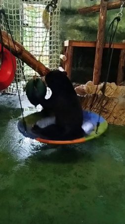 🐻Так выглядит правильное воскресенье 

Маша даёт мастер-класс по успешной жизни.