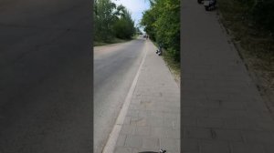 Тренировка со Спартаком.