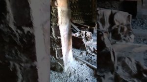 Ищим сакровищя на крыше нашего дома
