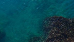 Красота под водой ч13