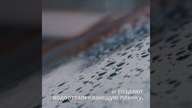 Правильный подбор щёток стеклоочистителя на лето