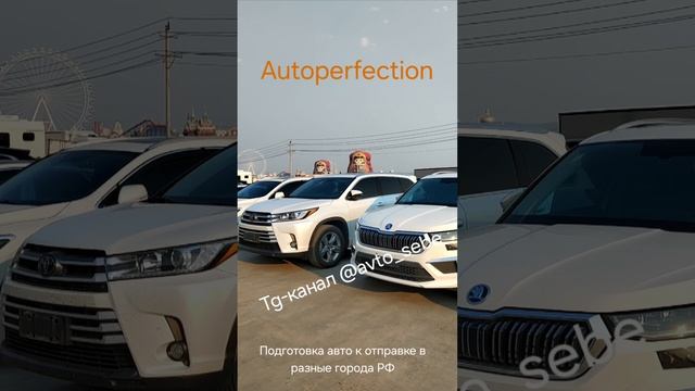 В ожидании экспортных документов.mp4