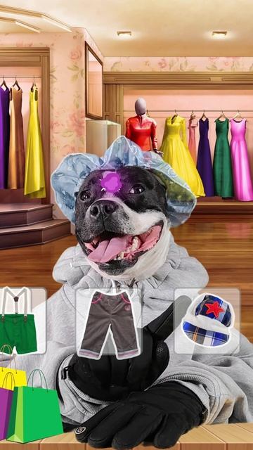 Моя собака – модель! Весёлая примерка костюмов! 🐶👗 #стаффи #мода #одежда #костюм #образ #наряд