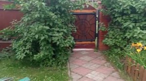Sadovyy ugolok. Заменили дверь нашему младшему другу.