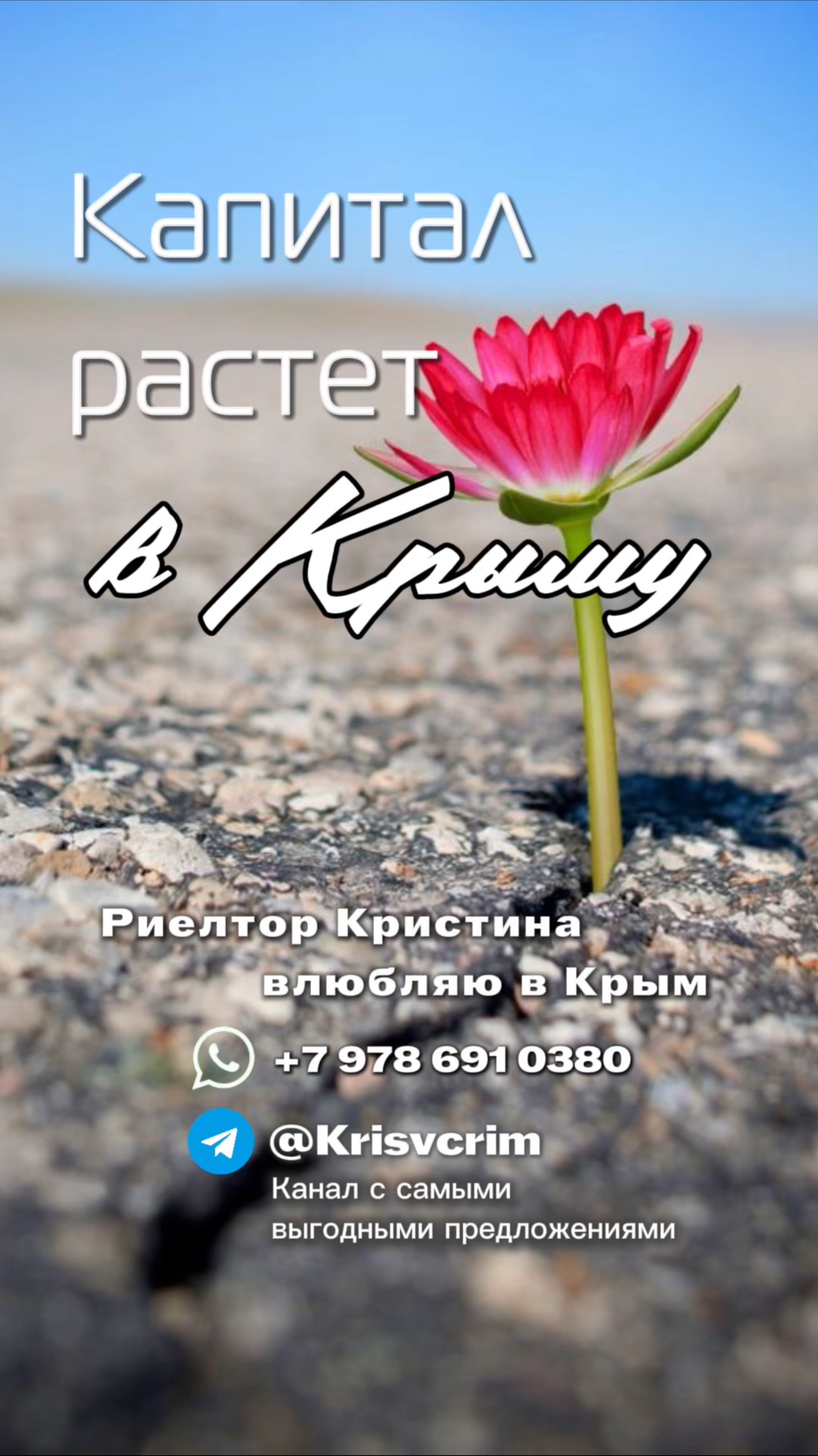 ВЫРАСТИ ДЕНЬГИ В ЗЕМЛЕ Крыма