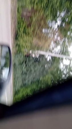 scene_output.mp4