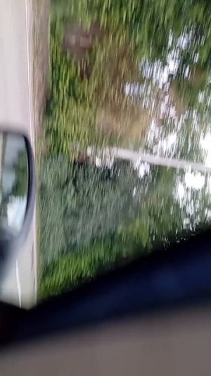 scene_output.mp4