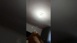 ### мы призвали хаги ваги к Арине домой 😰##