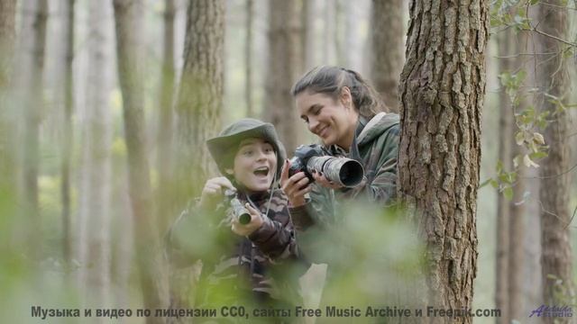 Шёпот волн и нежный синтез! - Ancient Memories -- HoliznaCC0 -- Forager