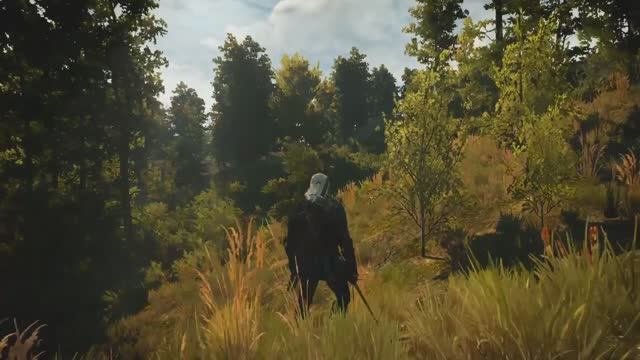 WITCHER 3 Music & Ambience In the Woods Relaxing Gaming Music смотреть онлайн