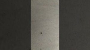 Ночные прогулки и смесь пародий 😈