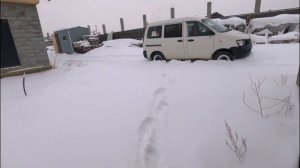 Приехали на участок, а там заяц лежит.