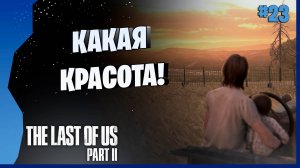ВСЁ МОГЛО БЫ БЫТЬ... НО... # 23 ► The Last Of Us Part II Прохождение игры