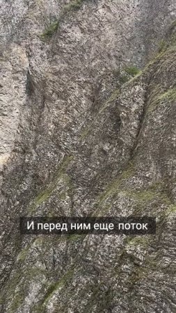 Трагедия ледника Колка что случилось с группой Сергея Бодрова