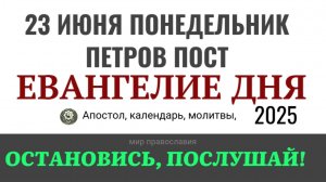 23 июня понедельник Евангелие дня 2025 с толкованием #евангелие