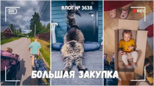 Топим печь | Закупились на рынке -  ВЛОГ №3638 - 21.06.25