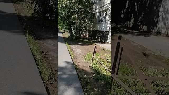 Красота240