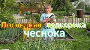Третья и ЗАКЛЮЧИТЕЛЬНАЯ подкормка ЧЕСНОКА