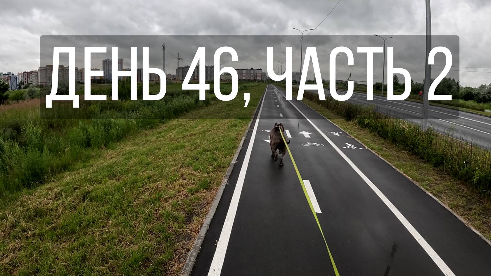 День 46, часть 2