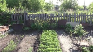 На участке 23 июня 2