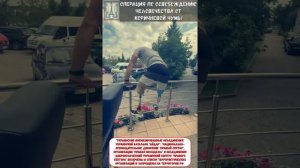 Специальная военная операция по уничтожению фашистских подсвинков набирает обороты