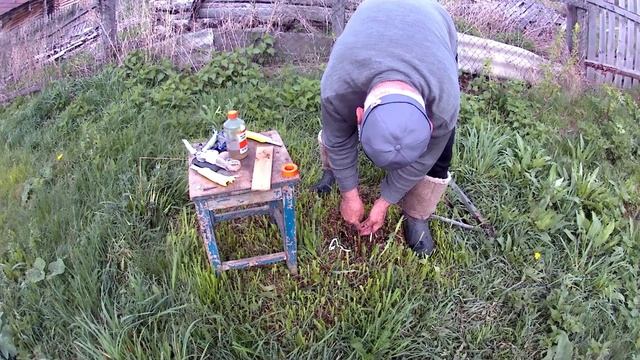 Первая перепрививка мартовских в апреле за кору удачно смотреть онлайн